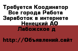 Требуется Коодинатор - Все города Работа » Заработок в интернете   . Ненецкий АО,Лабожское д.